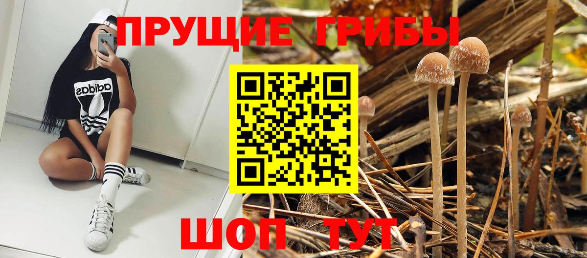 Геленджик  Псилоцибиновые грибы прущие грибы  Галлюциногенные грибы Psilocybine cubensis  Вход с VPN 